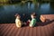 Two children feed the wild ducks and shoal of small fish in azure clean transparent lake. Brother boys are best friends. Summer