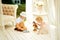 Two children play on floor in summer pavilion in garden. Brother and sister spend time together. Boy in white summer hat with toy