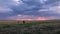 Two children run across a field against the background of clouds at sunset.A boy and a girl in a field against the