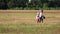 Two children spend time together in the field