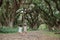 Two children walk away between a shady tree