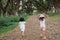 Two children walk away between a shady tree