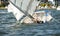 Two children in the water climbing back into a capsized sailboat