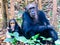 Two Chimpanzees sitting in forest at Gombe National Park