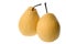 Two Chinese Gong pears