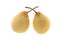 Two chinese pears