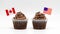 Two chocolate chip swirl cupcakes with tricolor American flag and Canadian maple leaf flag toothpicks in them isolated on white