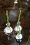 two clear ice - covered flower stems on top of water