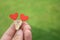 Two clothes pegs stapled together. Red hearts. Green background with grass. Love concept