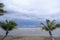 Two coconut curve  tree on the beach with couple in background