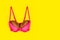 Two coconuts in bright pink bra on yellow background. Woman breast metaphor. Plastic surgery, implant upsize concept