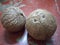 Two Coconuts shell brown ba-o