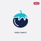 Two color fresh tomato vector icon from bistro and restaurant concept. isolated blue fresh tomato vector sign symbol can be use