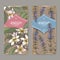 Two color labels with Plumeria rubra aka Frangipani and Hyssopus officinalis aka hyssop sketch on vintage background.
