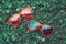 Two colorful funny silly red heart shaped sunglasses lying in green grass on summer day.