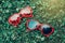 Two colorful funny silly red heart shaped sunglasses lying in green grass on summer day. View from top above.