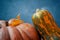 Two colorful pumpkins and a blue textured background.