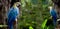 Two Colorful scarlet macaw perched on a branch