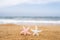 Two colorful starfish, star on sand beach with sea water background. Couple vacation concept.