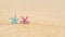 Two colorful starfish, star on sand beach with sea water background. Couple vacation concept.