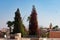 Two Colorful Trees among the Rooftops in the Medina of Marrakesh Morocco