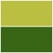 Two colors empty space for your text Green palette