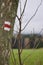 Two-colour tourist sign painted on a tree in Europe