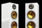 Two columns of luxury loudspeakers 3d render models