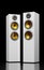 Two columns of luxury loudspeakers 3d render models