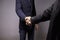 Two confident businessman shook hands during office meetings