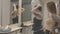 Two confident Caucasian sportswomen looking in mirror in locker room. Side view portrait of beautiful tattooed women