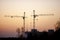 Two constructuin cranes silhouettes, building site under pink sunset sky