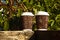 Two corrugated coffee cups on a wooden balcony. Hot drinks to go