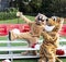 Two cougar mascots on small bleachers
