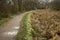 Two couples by the canal path in Winter