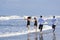 Two Couples, Having Fun On A Beach