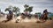 Two Cowboys Roping A Calf At A Rodeo