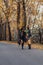 Two cozy smiling young girls walk at autumn park road