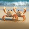 Two crabs with their claws up and their beaks are sitting on a beach.