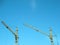 Two crane towers on sky background