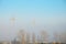 Two cranes in fog above rooftops and trees.