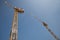 Two cranes working in tandem on a construction site in the UK