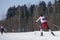 Two cross country skiers in frozen blizzard. Snowstorm landscape .