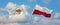 two crossed flags Cyprus and Poland waving in wind at cloudy sky. Concept of relationship, dialog, travelling between two