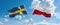 two crossed flags poland and Sweden waving in wind at cloudy sky. Concept of relationship, dialog, travelling between two