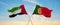 two crossed flags portugal and United Arab Emirates waving in wind at cloudy sky. Concept of relationship, dialog, travelling
