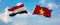 two crossed flags Vietnam and Egypt waving in wind at cloudy sky. Concept of relationship, dialog, travelling between two