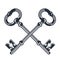 Two crossed vintage keys, heraldic symbol of secret, old delicate keys