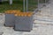 Two cubic concrete benches on pavement