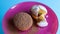 Two curd cakes sprinkled with chocolate and icing sugar on a pink plate, on a blue background. Dessert, a small cupcake. white